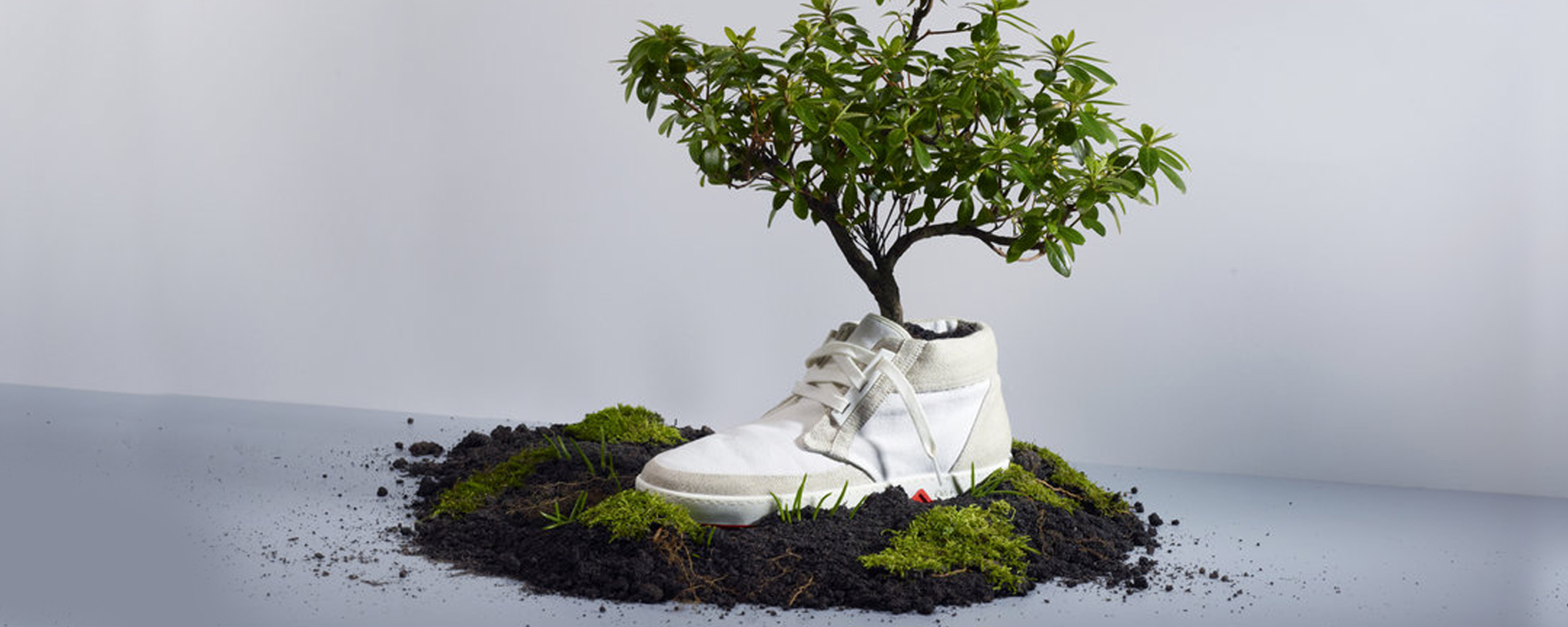 Biodegradable Shoes